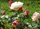 DSC00066