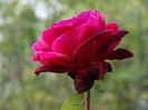 DSC00068