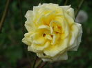 DSC00071