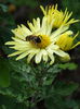 DSC00081