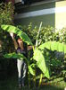 Picture 2677