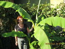 Picture 2678