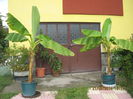 Picture 2728