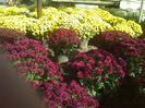 IMG_20141014_145909