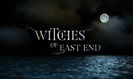 Witchs of East End (1)