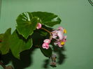 DSCN1039