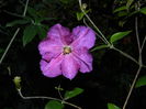 DSCN1040