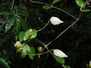 DSCN1041
