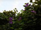 DSCN1042