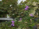 DSCN1043