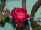 DSCN1047