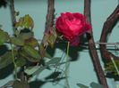 DSCN1048