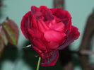 DSCN1049