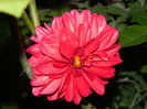 DSCN1051