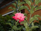 DSCN1057