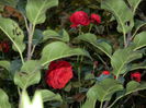 DSCN1058