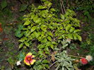 DSCN1062