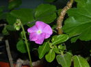 DSCN1091