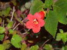 DSCN1092