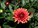 DSCN1095