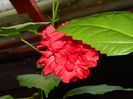 DSCN1098