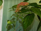 DSCN1103