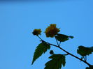DSCN1107