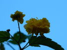 DSCN1108