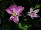 DSCN1117