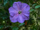 DSCN1118