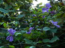 DSCN1120