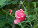 DSCN1123