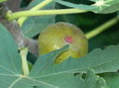 DSCN1128