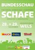 Bundesschau Wels 2014