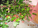 DSC05687