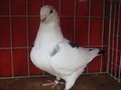 Matca
