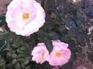 20141014_164841