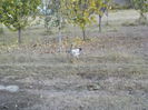 DSCN1324