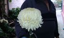 20141016_135506