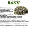 baniitotul