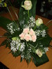 50 lei