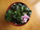 DSCF2765