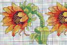 due_girasoli