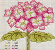fiori-29