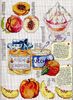 frutti estivi - pesche e marmellata- schema punto croce