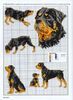 schema punto croce - razze canine (6)