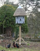 dovecote_4