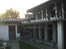 DSCF1126