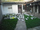 DSCF1135