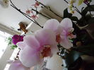 DSC00406